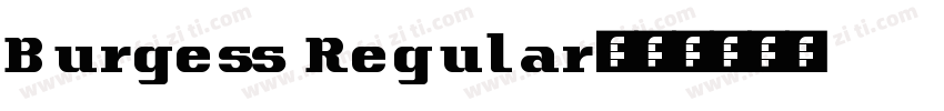 Burgess Regular字体转换